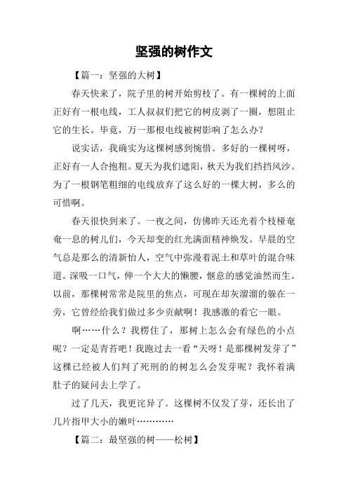 坚强的树作文