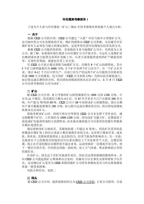 印尼煤炭考察报告1