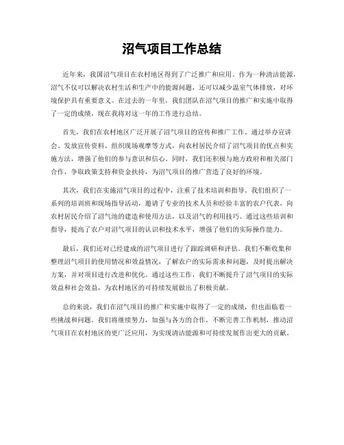 沼气项目工作总结