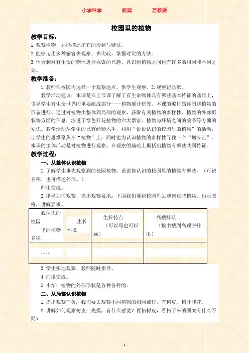 苏教版科学三年级上册教案《04校园里的植物》(1)-附知识点梳理