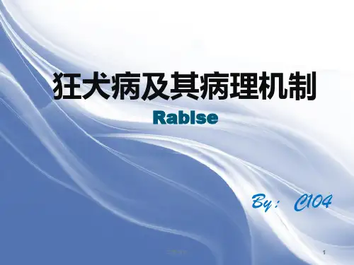 狂犬病及其病理机制[专家专业]