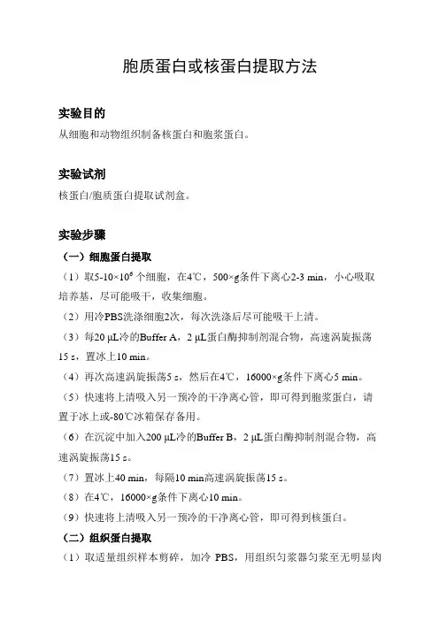 胞质蛋白或核蛋白提取方法