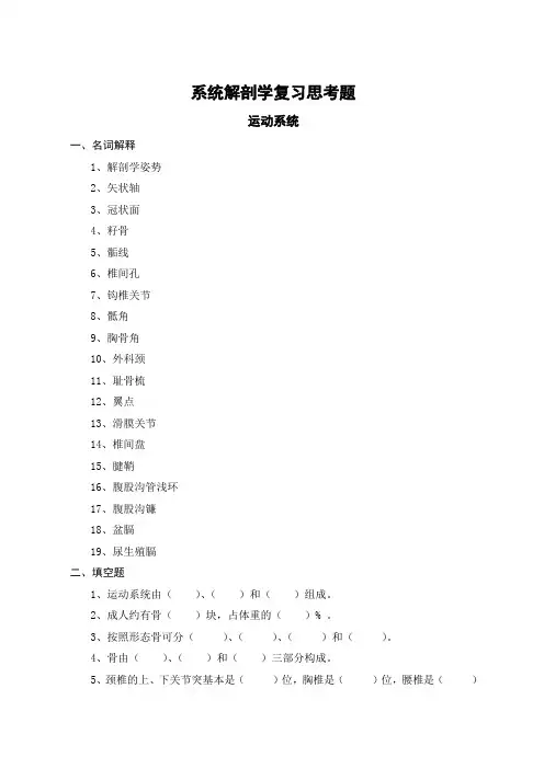 系统解剖学运动部分复习思考题