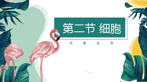 《细胞》PPT课件