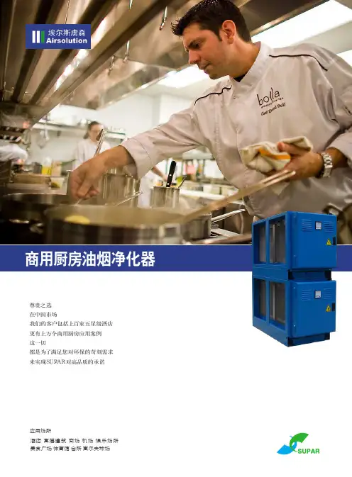 油烟净化器-埃尔斯虏森