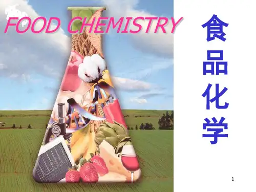 食品化学第1章 绪论[精]