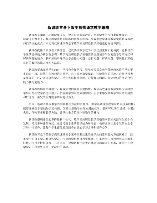 新课改背景下数学高效课堂教学策略