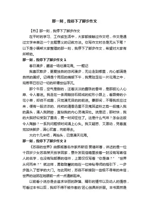 那一刻，我停下了脚步作文