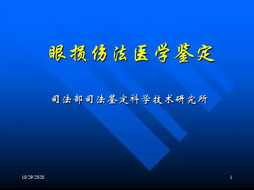 眼损伤法医学鉴定 法医学专家讲座
