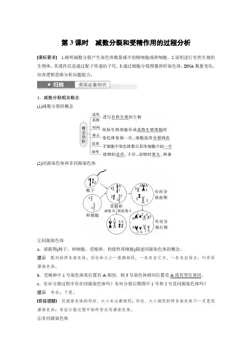 一轮复习教案 第4单元 第3课时 减数分裂和受精作用的过程分析(含答案)