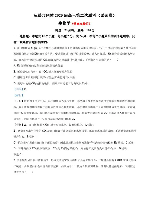 湖南省沅澧共同体2024-2025学年高三上学期第二次联考生物试题含答案