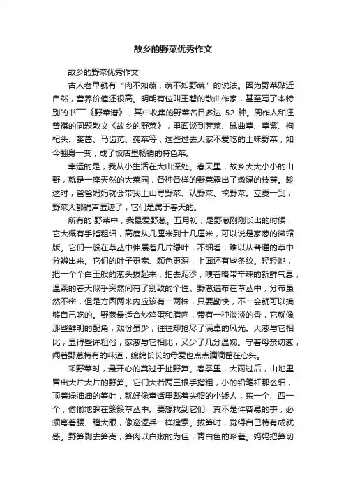 故乡的野菜优秀作文