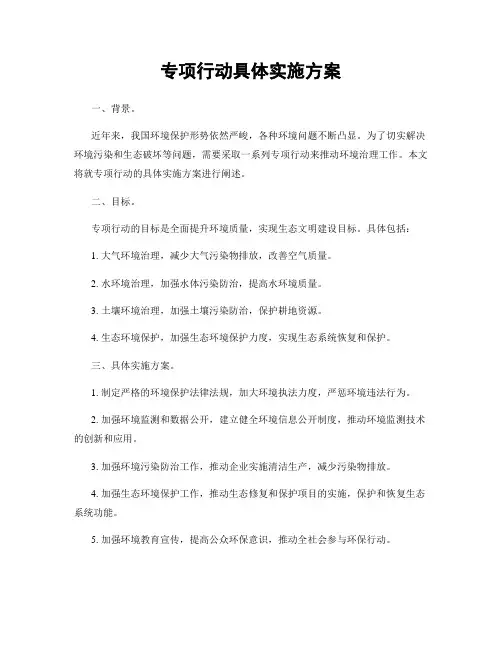 专项行动具体实施方案