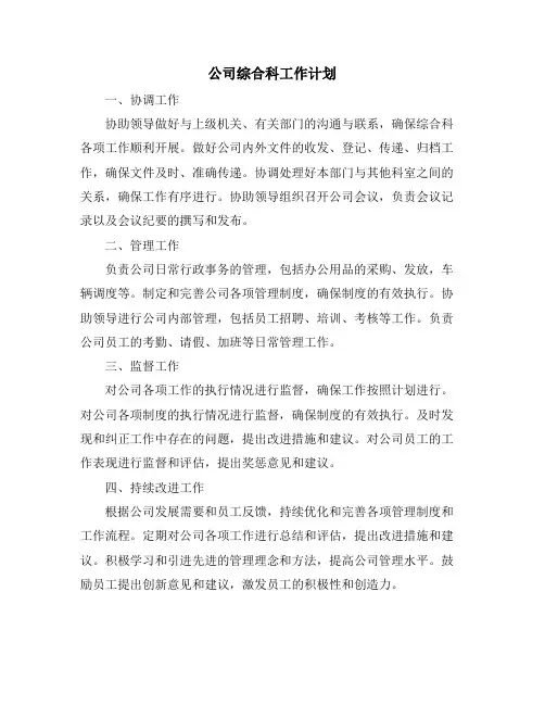 公司综合科工作计划