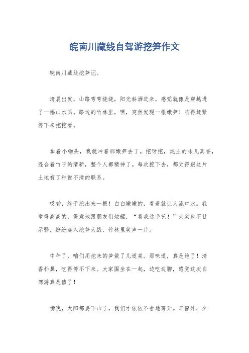皖南川藏线自驾游挖笋作文