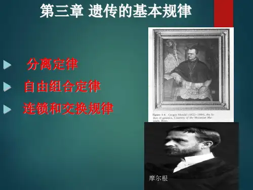 遗传的三大规律