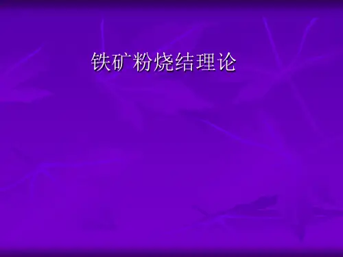 5烧结矿(定)