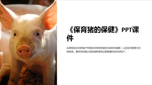 《保育猪的保健》课件