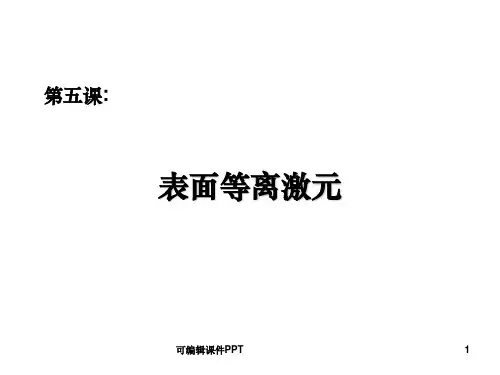 Lecture5 表面等离激元ppt课件