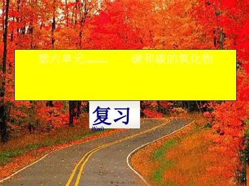 九年级化学上册第六单元碳和碳的氧化物全单元复习