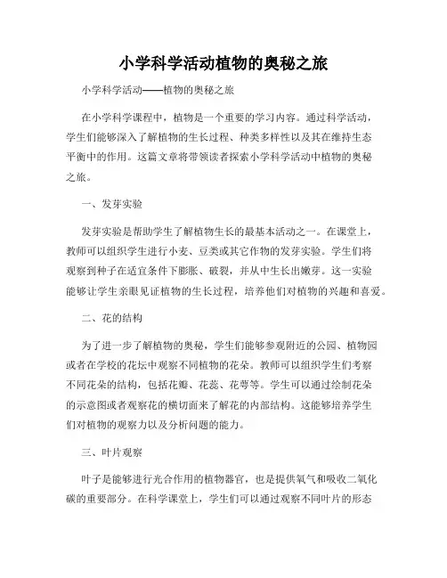 小学科学活动植物的奥秘之旅