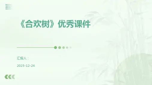 《合欢树》优秀课件