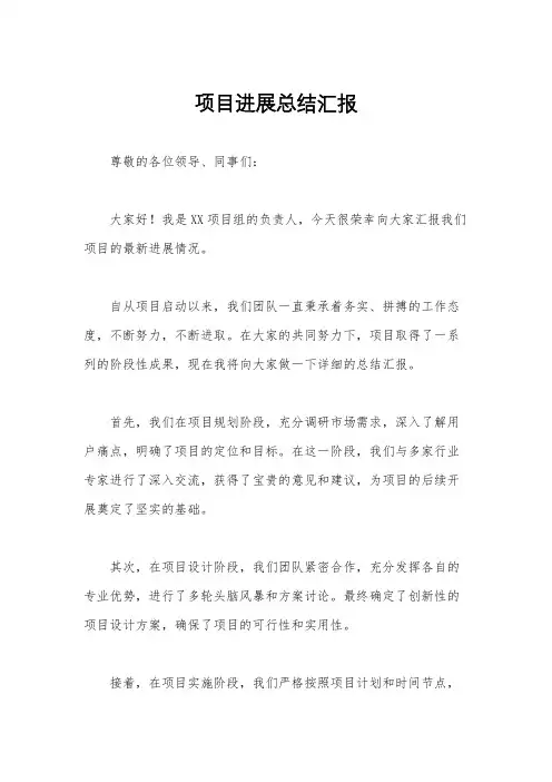 项目进展总结汇报