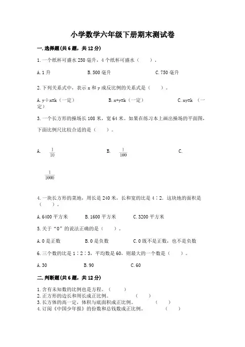 小学数学六年级下册期末测试卷(含答案)