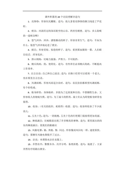 课外积累的20个词语理解并造句