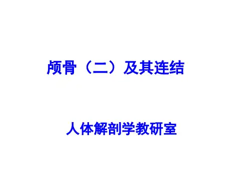 颅骨(二)及其连结重点