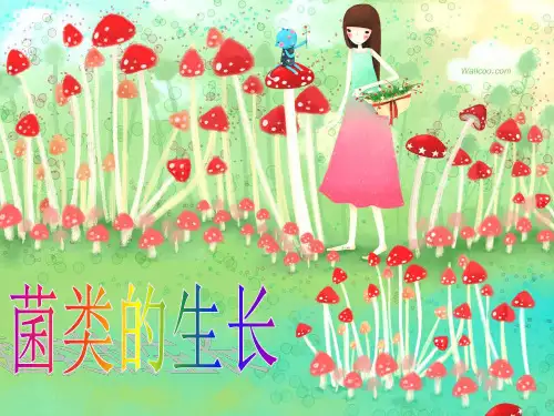 菌类的生长