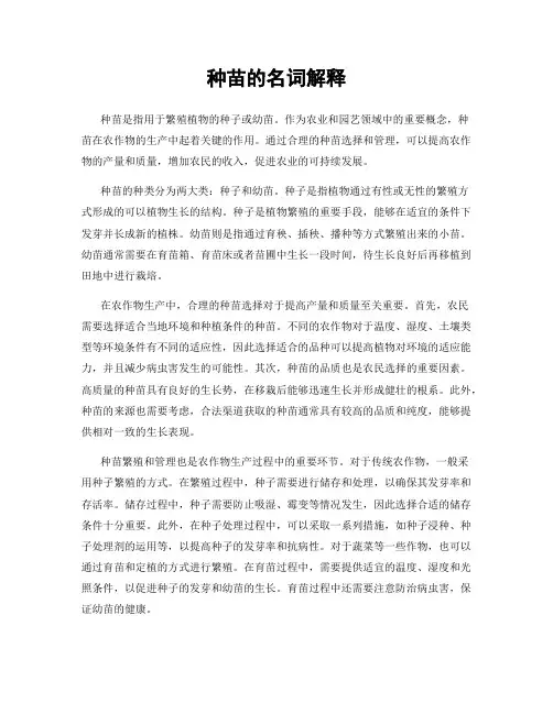 种苗的名词解释
