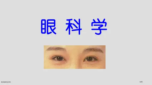 眼部解剖结构
