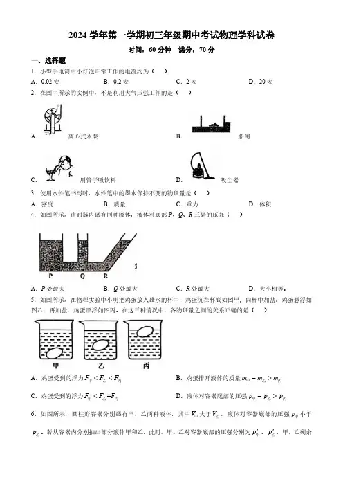 上海市竹园中学、张江集团中学2024-2025学年九年级上学期期中考试物理试题(含答案)