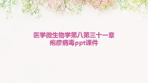 医学微生物学第八第三十一章疱疹病毒ppt课件