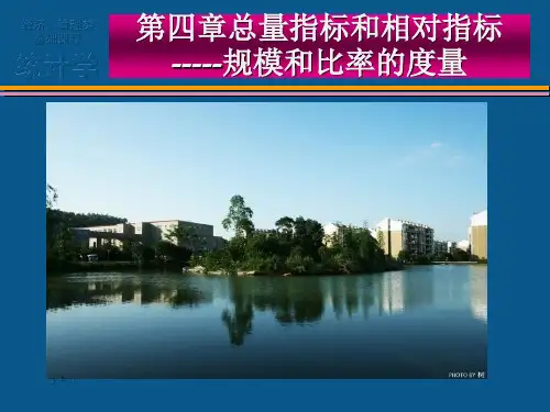 第四章规模和比率的度量