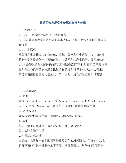霉菌的形态观察实验原理和操作步骤