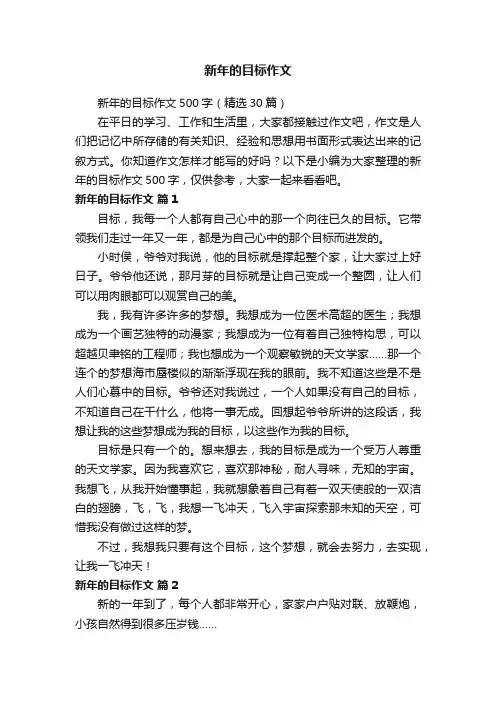 新年的目标作文500字（精选30篇）