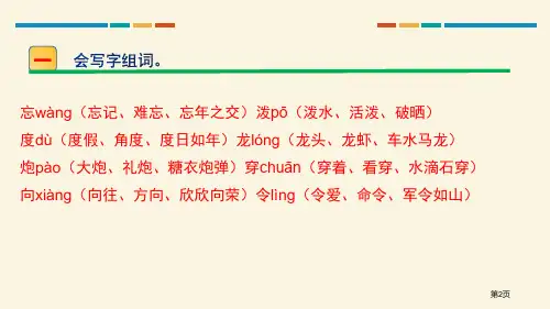 难忘的泼水节优秀课件市公开课一等奖省优质课获奖课件.pptx