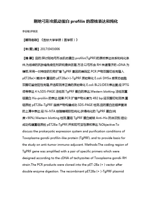 刚地弓形虫肌动蛋白profilin的原核表达和纯化