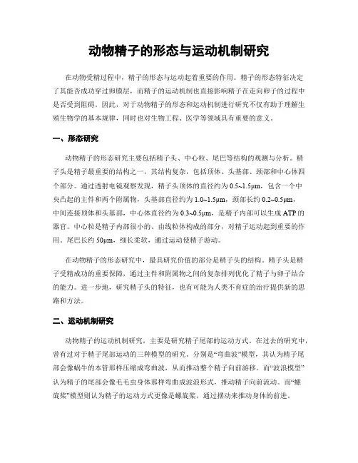 动物精子的形态与运动机制研究