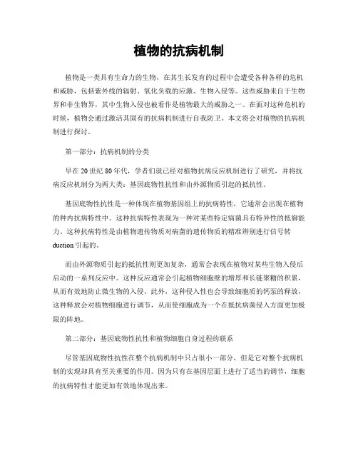 植物的抗病机制