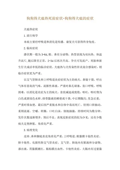 狗狗得犬瘟热死前症状-狗狗得犬瘟的症状