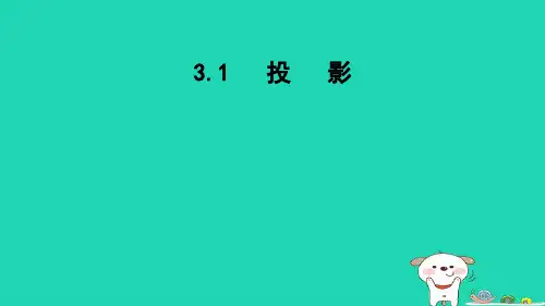 2024九年级数学下册第3章投影与视图3.1投影课件新版湘教版
