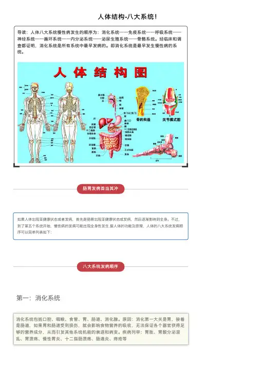 人体结构-八大系统！