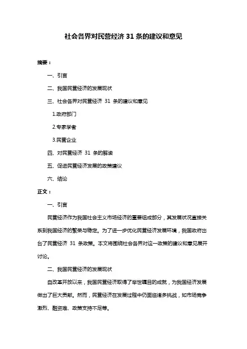 社会各界对民营经济31条的建议和意见