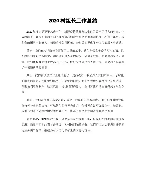 2020村组长工作总结