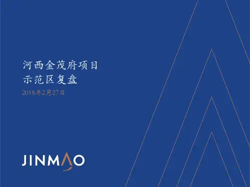示范区复盘(参考资料)