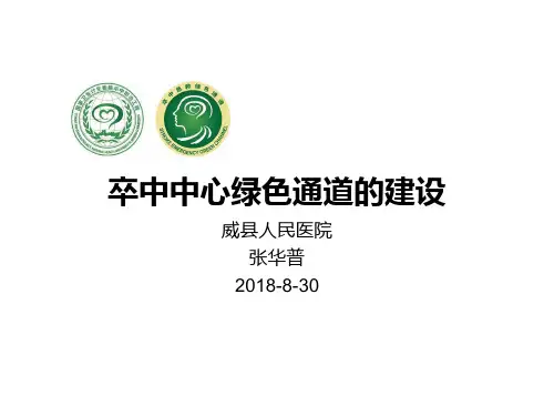 卒中中心绿色通道的建设ppt课件