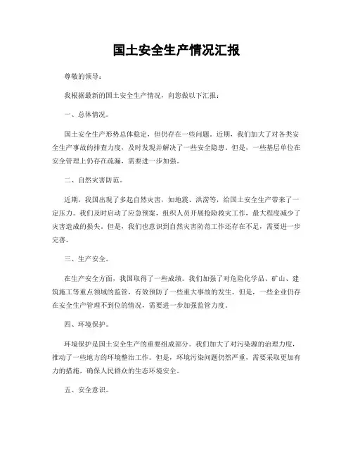 国土安全生产情况汇报